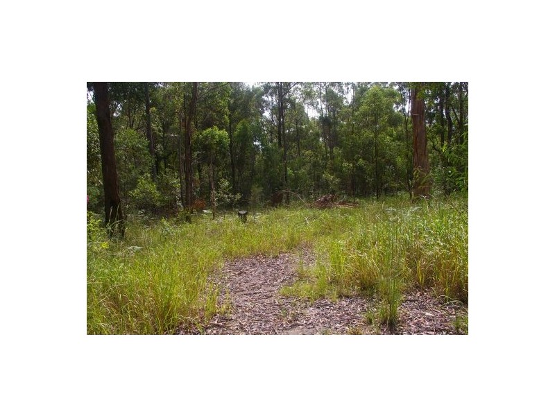 Verges Creek NSW 2440