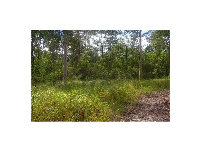 Verges Creek NSW 2440