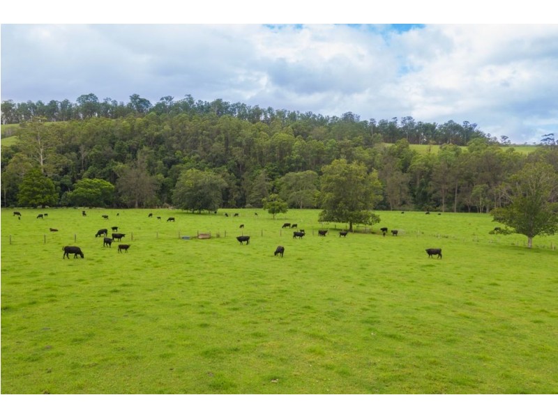 Rollands Plains NSW 2441