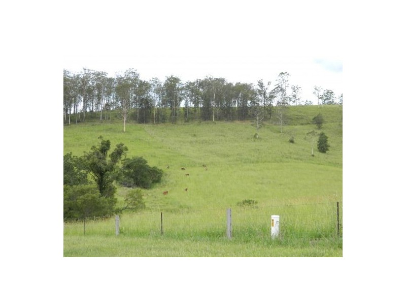 Wauchope NSW 2446