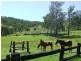 Yarrowitch NSW 2354