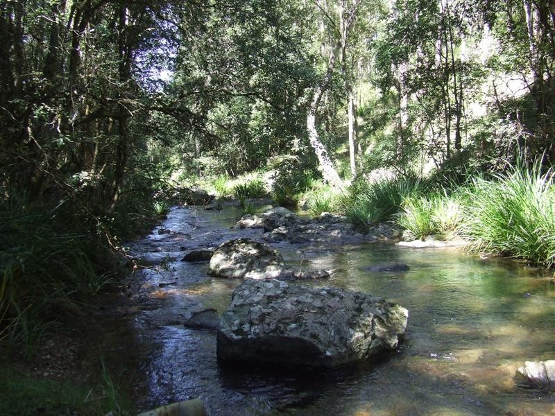 Yarrowitch NSW 2354