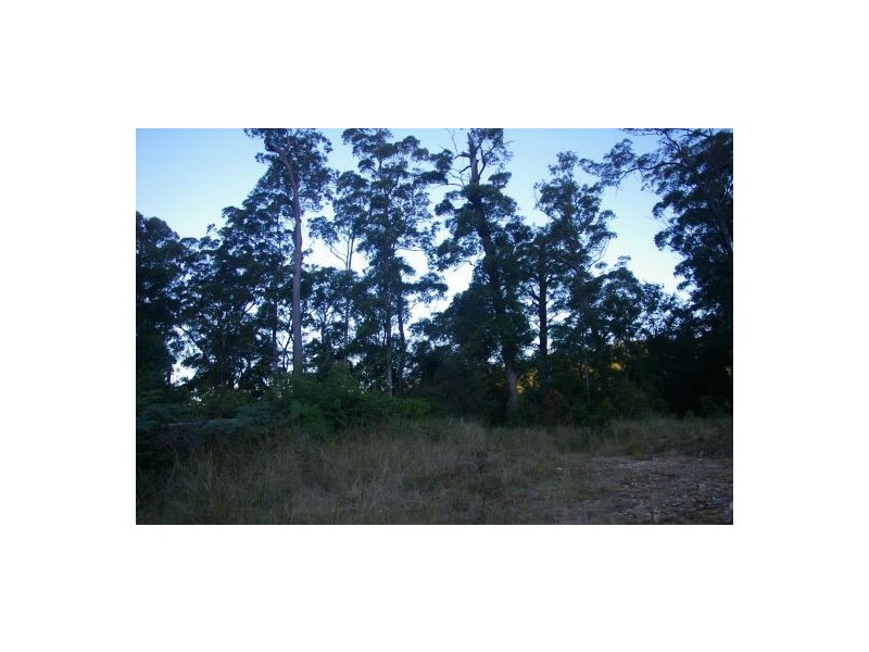 Frazers Creek NSW 2446