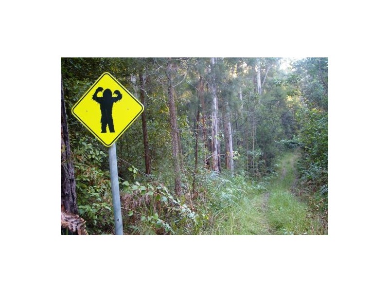 Frazers Creek NSW 2446