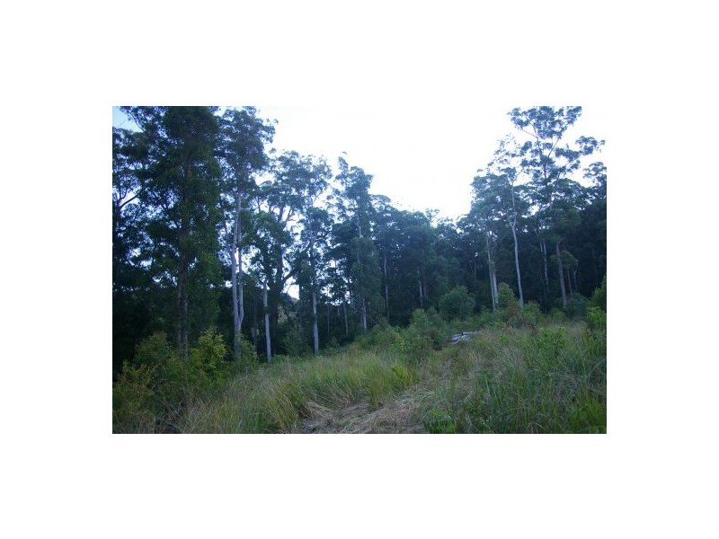 Frazers Creek NSW 2446