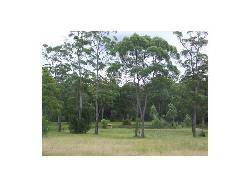 Herons Creek NSW 2443