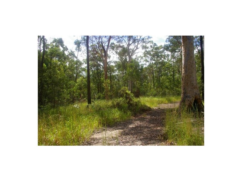 Verges Creek NSW 2440