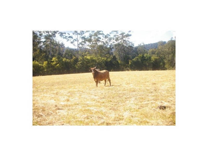 Ballengarra NSW 2441