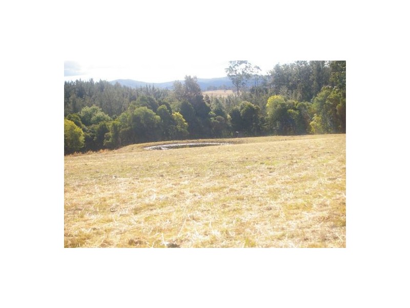 Ballengarra NSW 2441