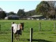 Rollands Plains NSW 2441