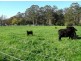 Rollands Plains NSW 2441