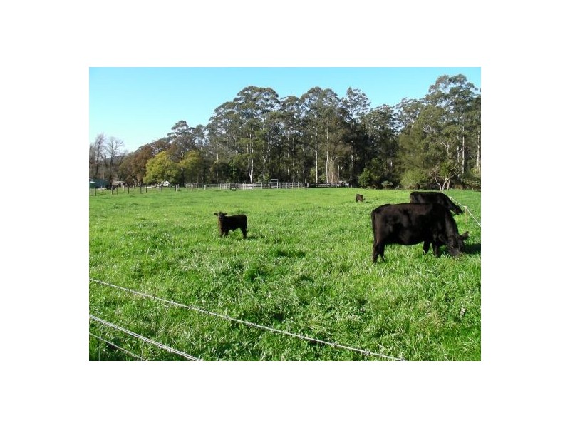 Rollands Plains NSW 2441