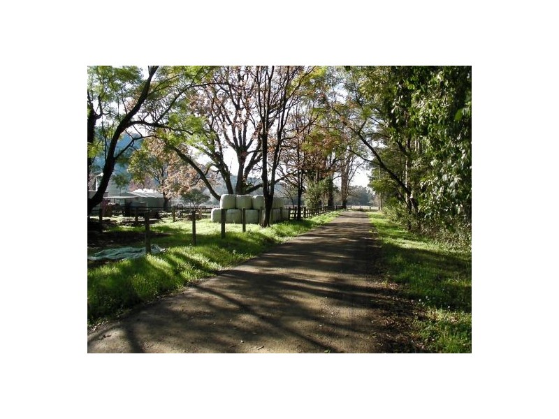Rollands Plains NSW 2441