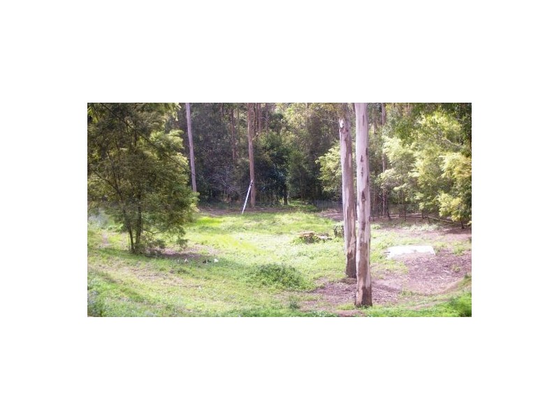 King Creek NSW 2446