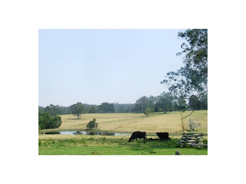 Mungay Creek NSW 2440
