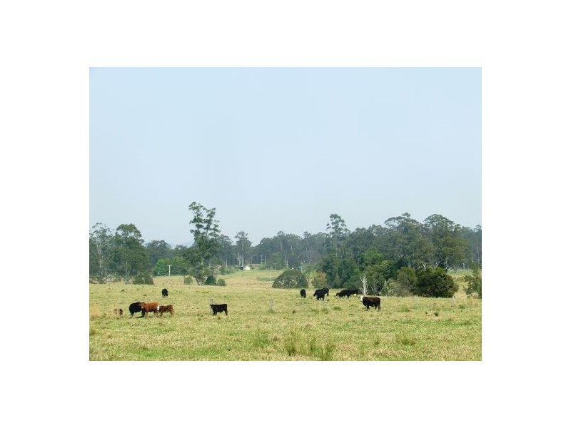 Mungay Creek NSW 2440