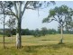 Mungay Creek NSW 2440