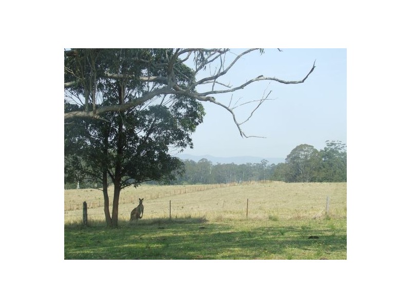 Mungay Creek NSW 2440