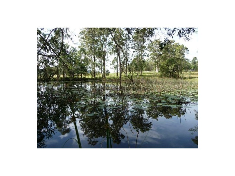 Bellangry NSW 2446