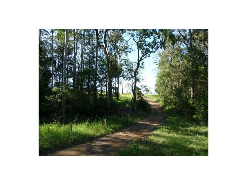 Bellangry NSW 2446