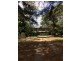 Beechwood NSW 2446