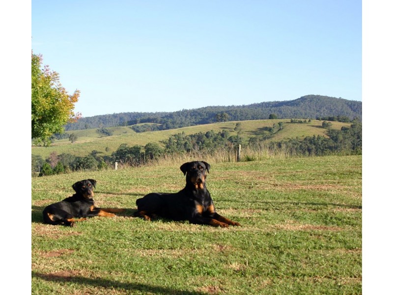 Rollands Plains NSW 2441