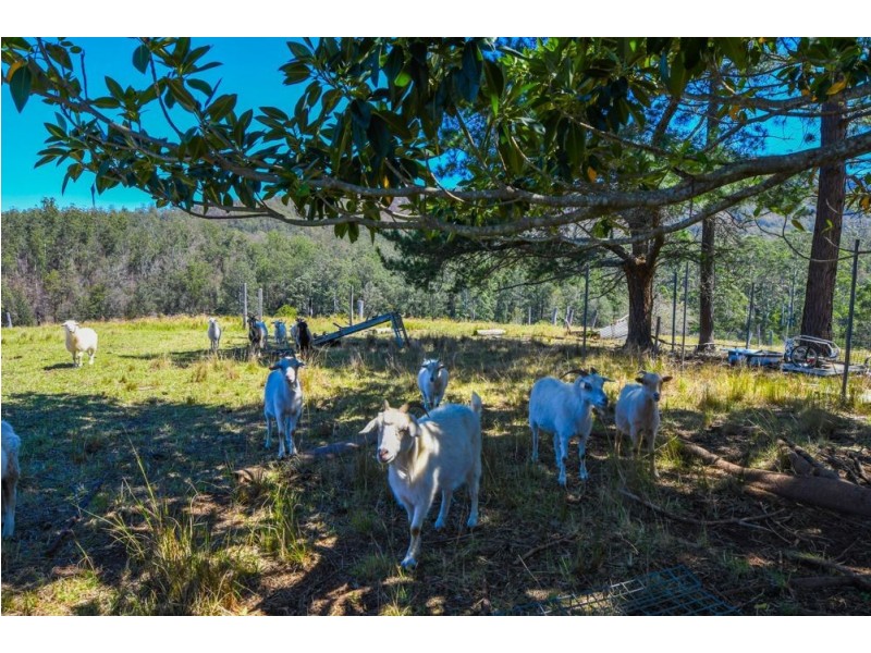 Rollands Plains NSW 2441