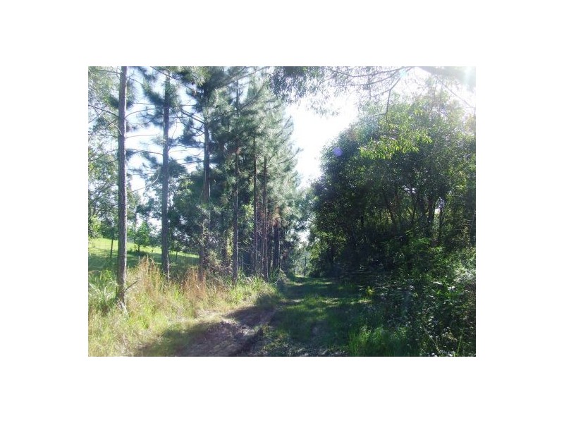 Telegraph Point NSW 2441