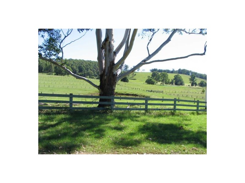 Rollands Plains NSW 2441