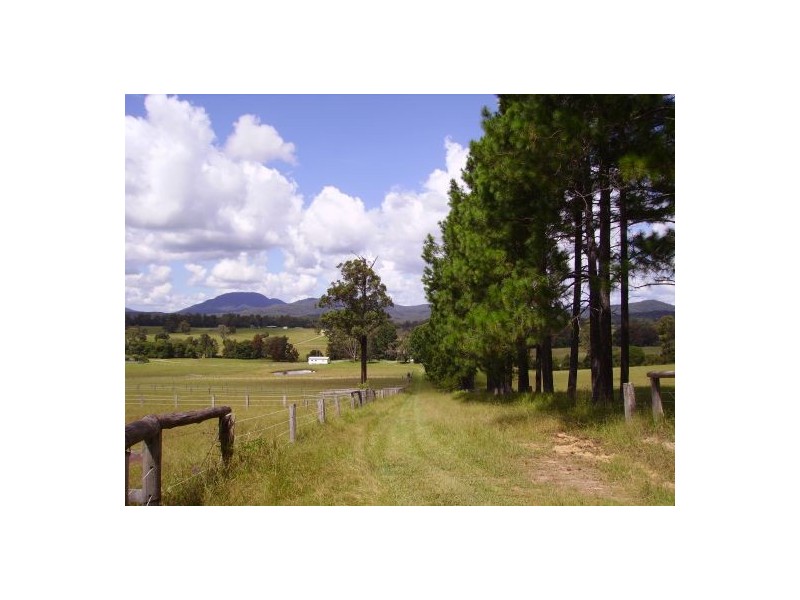 Rollands Plains NSW 2441