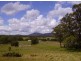 Rollands Plains NSW 2441