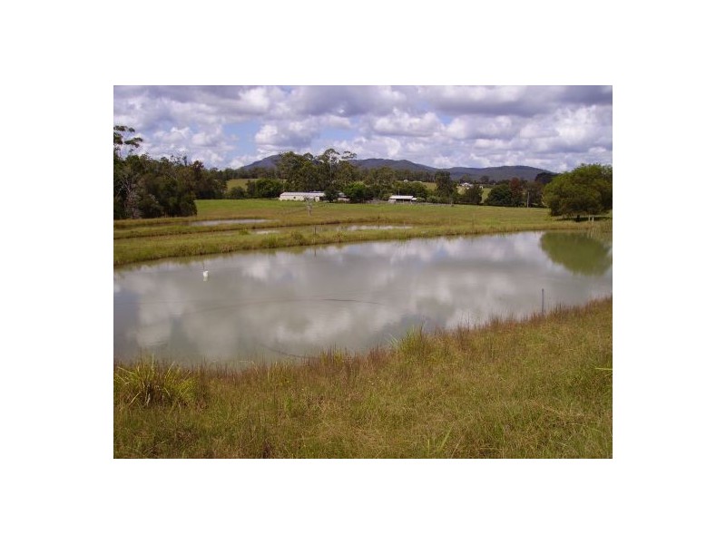 Rollands Plains NSW 2441