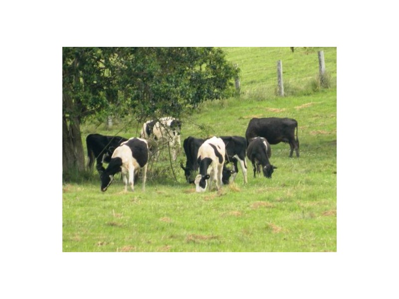 Rollands Plains NSW 2441