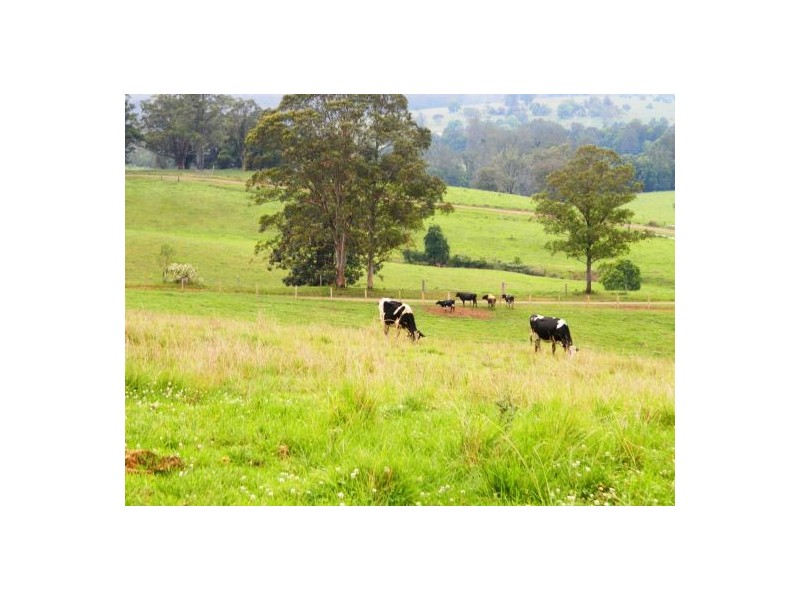 Rollands Plains NSW 2441