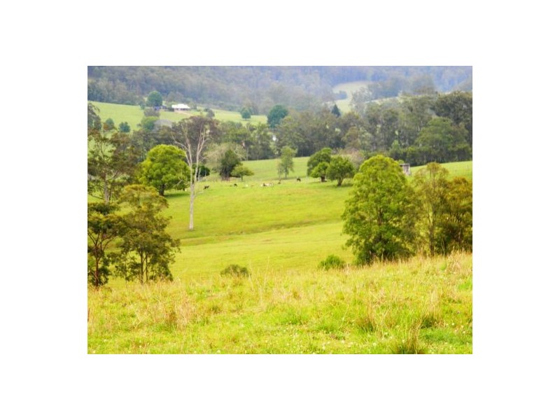 Rollands Plains NSW 2441