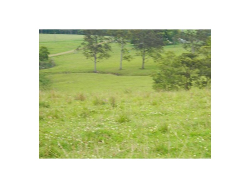 Rollands Plains NSW 2441