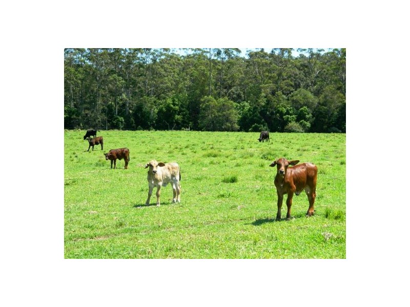 Telegraph Point NSW 2441