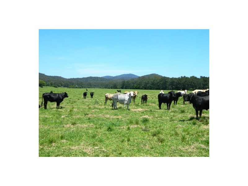 Telegraph Point NSW 2441