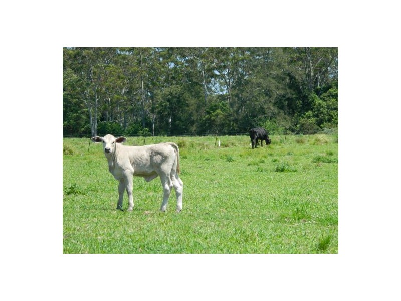 Telegraph Point NSW 2441