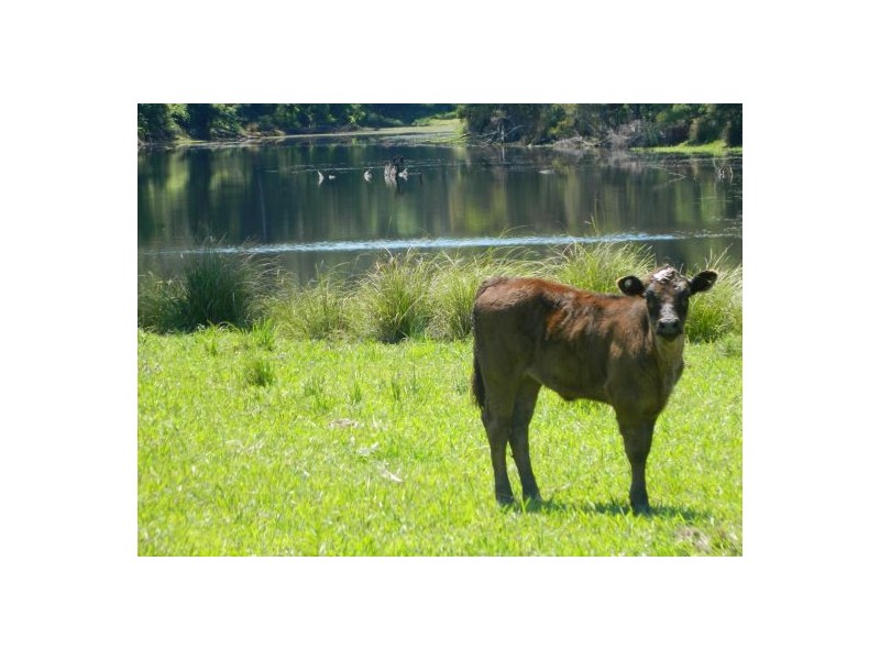 Telegraph Point NSW 2441