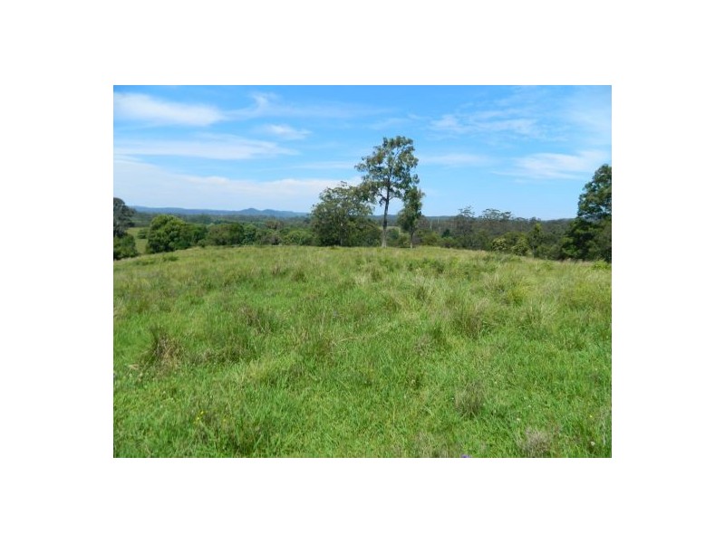 Rollands Plains NSW 2441