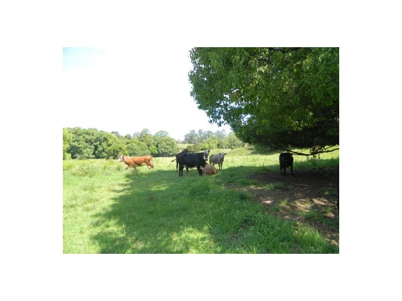 Rollands Plains NSW 2441