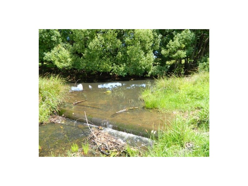 Rollands Plains NSW 2441