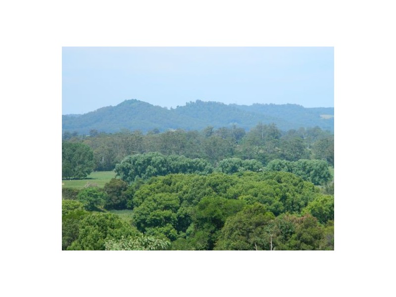 Rollands Plains NSW 2441