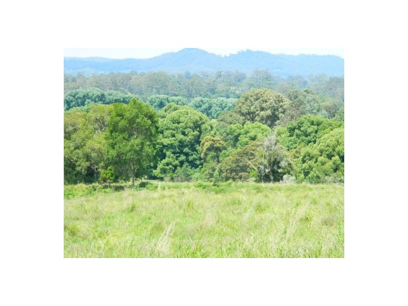 Rollands Plains NSW 2441