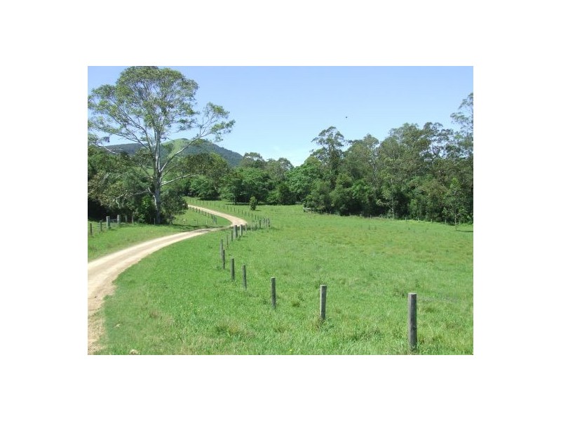 Ellenborough NSW 2446