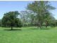 Ellenborough NSW 2446