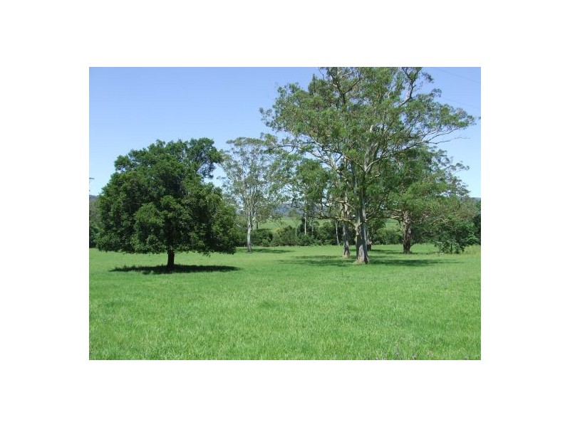 Ellenborough NSW 2446