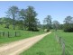 Ellenborough NSW 2446