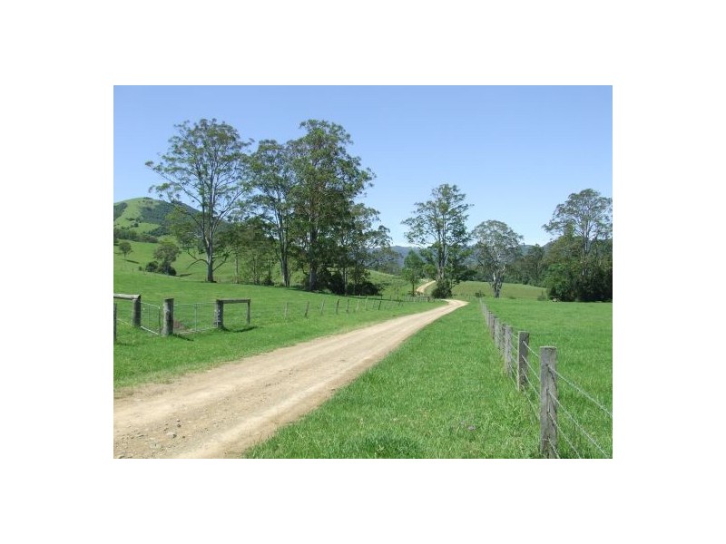 Ellenborough NSW 2446